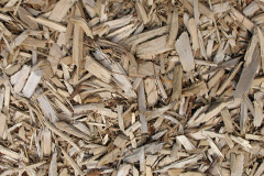 biomass boilers Gasthorpe